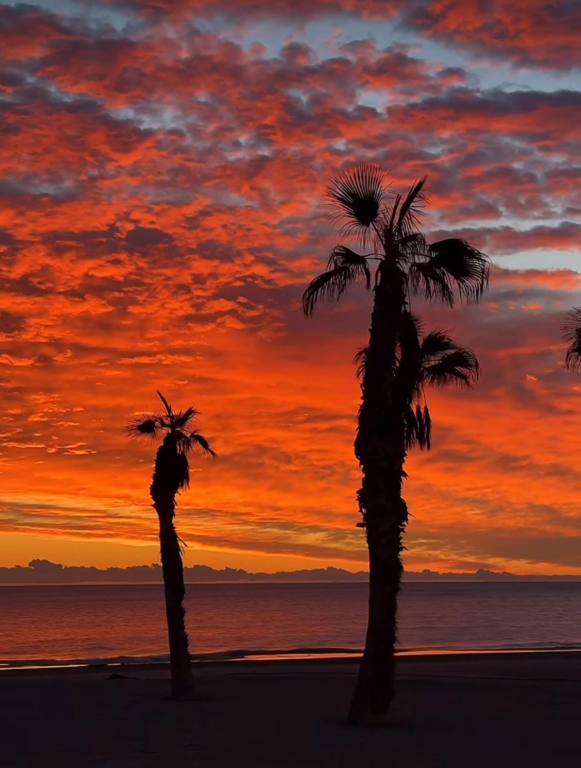 Stunning Sea View Appartement Alicante Buitenkant foto