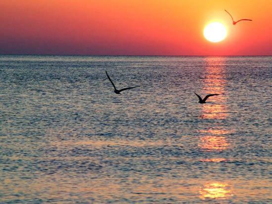 Stunning Sea View Appartement Alicante Buitenkant foto