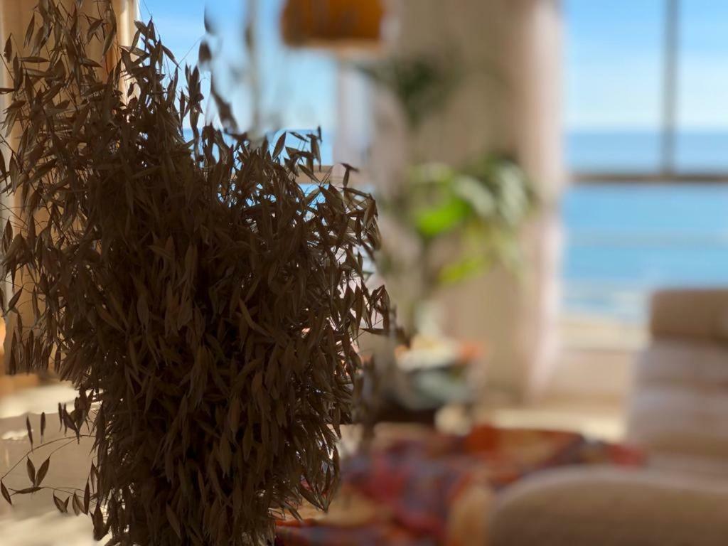 Stunning Sea View Appartement Alicante Buitenkant foto